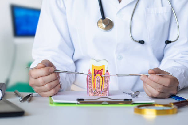 Best Cosmetic Emergency Dentistry in Rutgers University Busch Campus, NJ